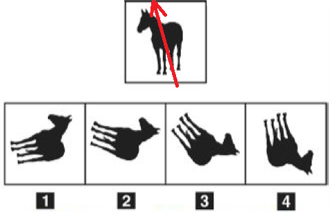 es 6 3 test medicina san raffaele 2018