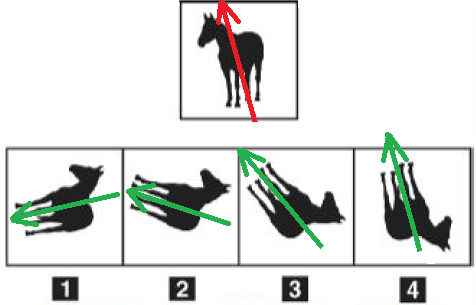 es 6 4 test medicina san raffaele 2018